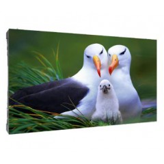 Модуль светодиодного экрана dahua phsa1.2-eh