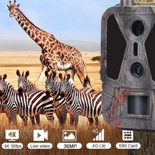 4G 4K камера-фотопастка з двома об’єктивами та APP-керуванням Suntek HC-950Pro-li